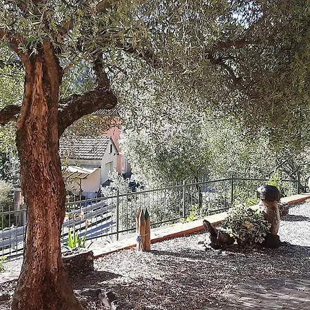 Casa Elisa 公寓 Castiglione Chiavarese