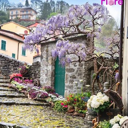 Casa Elisa Apartman *