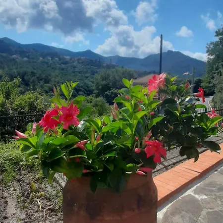 Casa Elisa 公寓