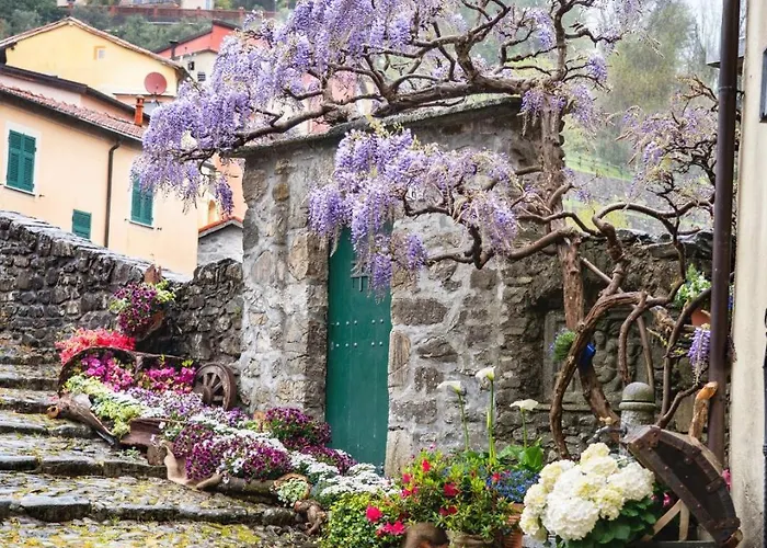 Casa Elisa 公寓 *