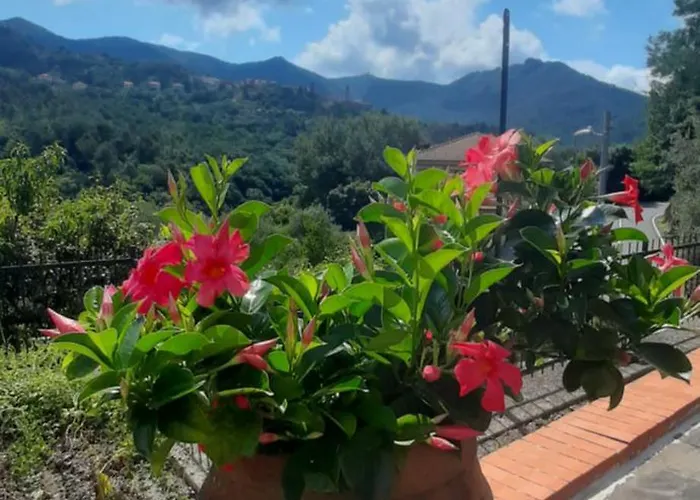 Casa Elisa 公寓